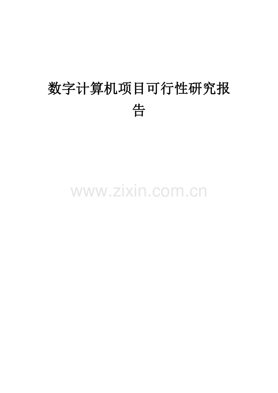 数字计算机项目可行性研究报告.docx_第1页