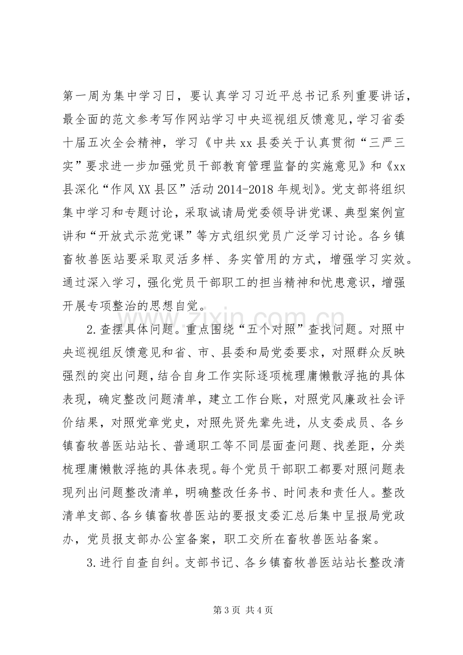 党支部庸懒散浮拖问题专项整治实施方案.docx_第3页