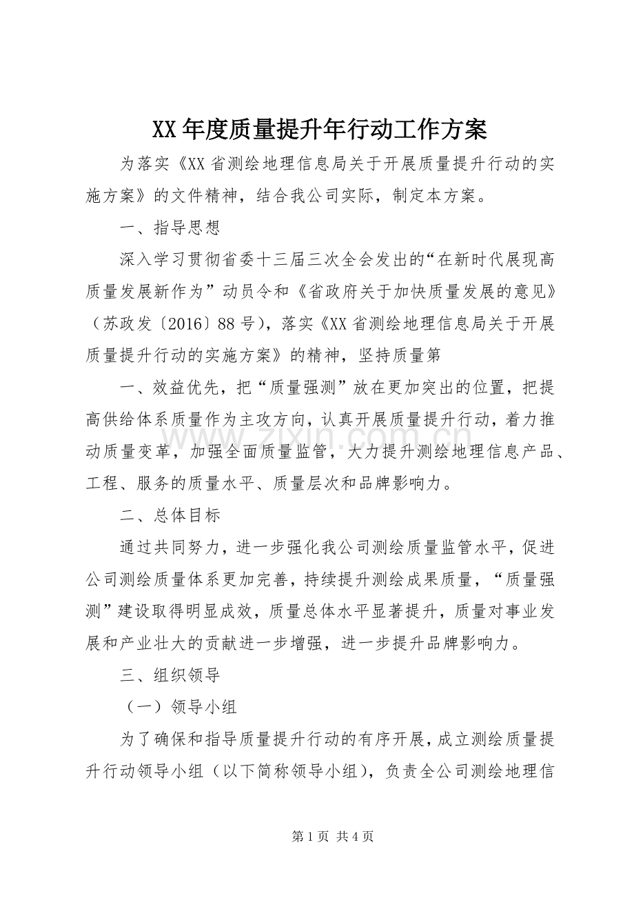 XX年度质量提升年行动工作实施方案.docx_第1页