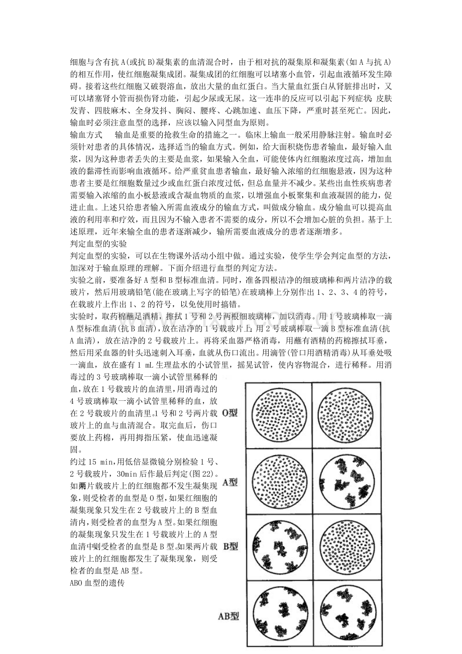 第四节输血与血型(教参).doc_第3页