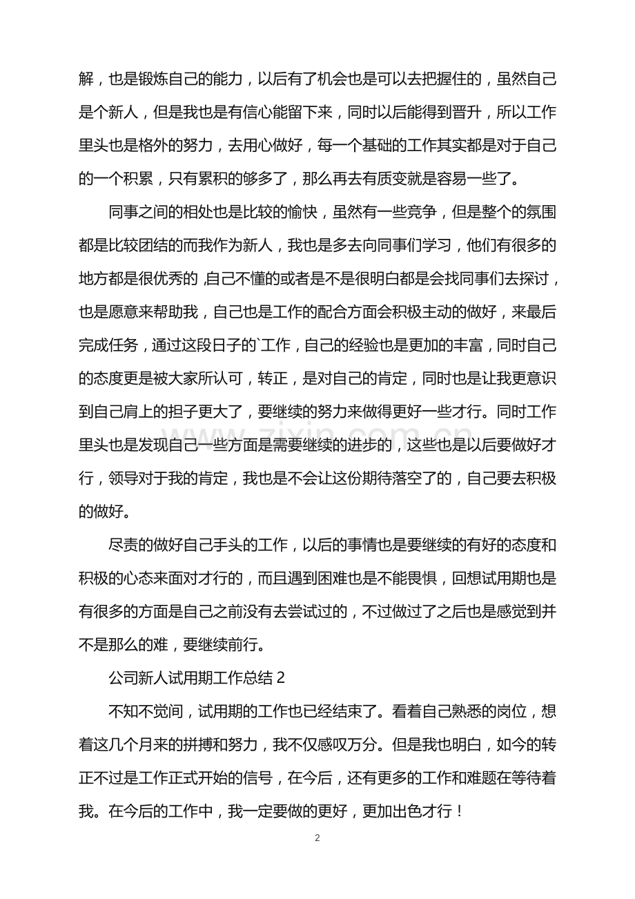 2022年公司新人试用期工作总结.doc_第2页