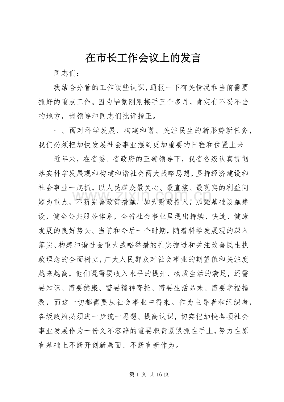 在市长工作会议上的发言稿.docx_第1页