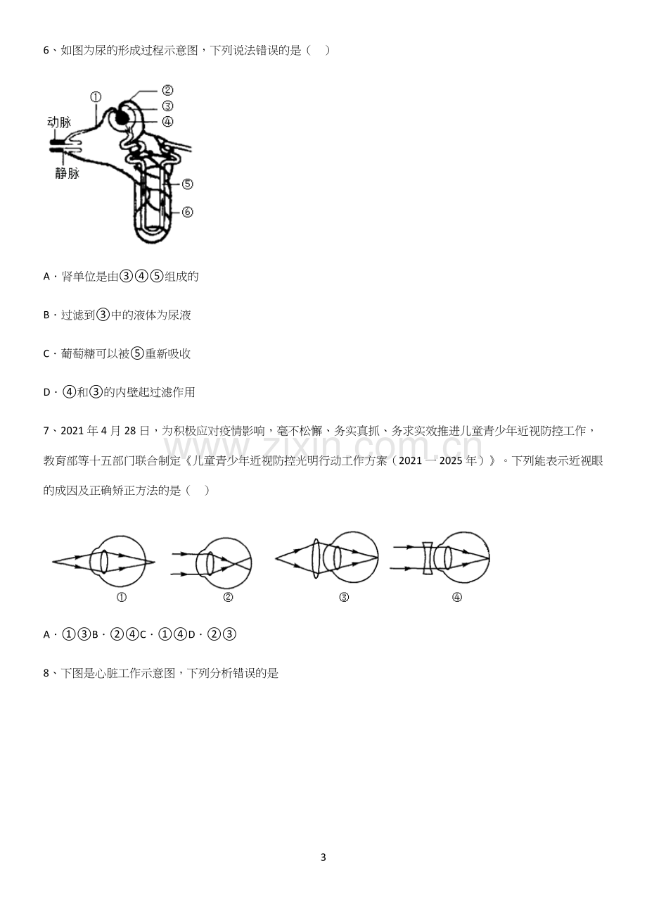 通用版初中生物七年级下册第四单元生物圈中的人知识点归纳超级精简版.docx_第3页