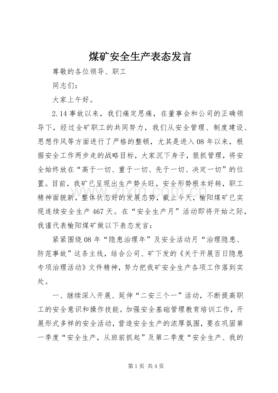 煤矿安全生产表态发言.docx_第1页