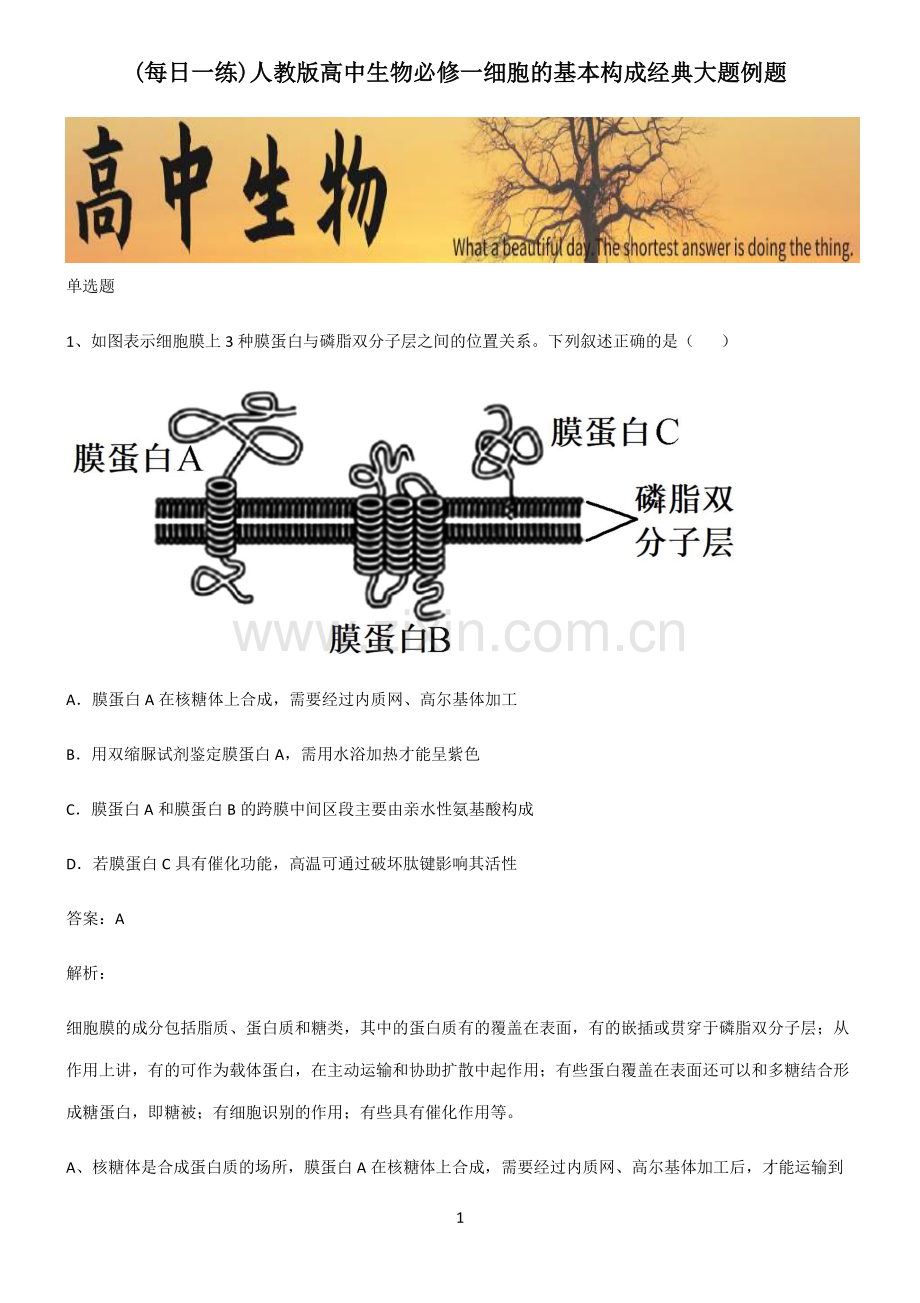 人教版高中生物必修一细胞的基本构成经典大题例题.pdf_第1页