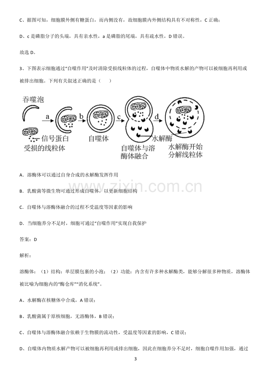 人教版高中生物必修一细胞的基本构成经典大题例题.pdf_第3页