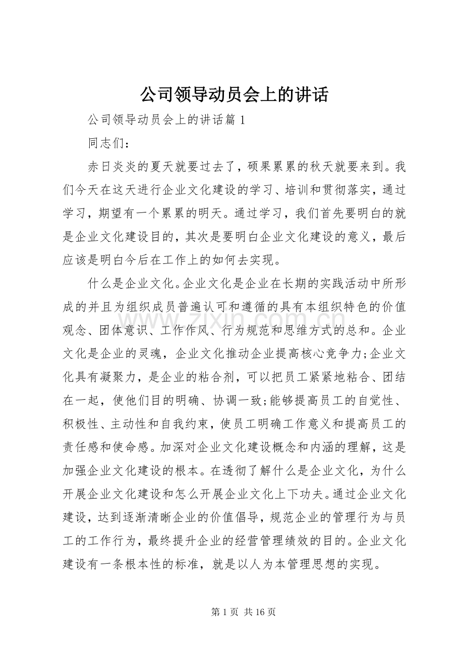 公司领导动员会上的讲话.docx_第1页