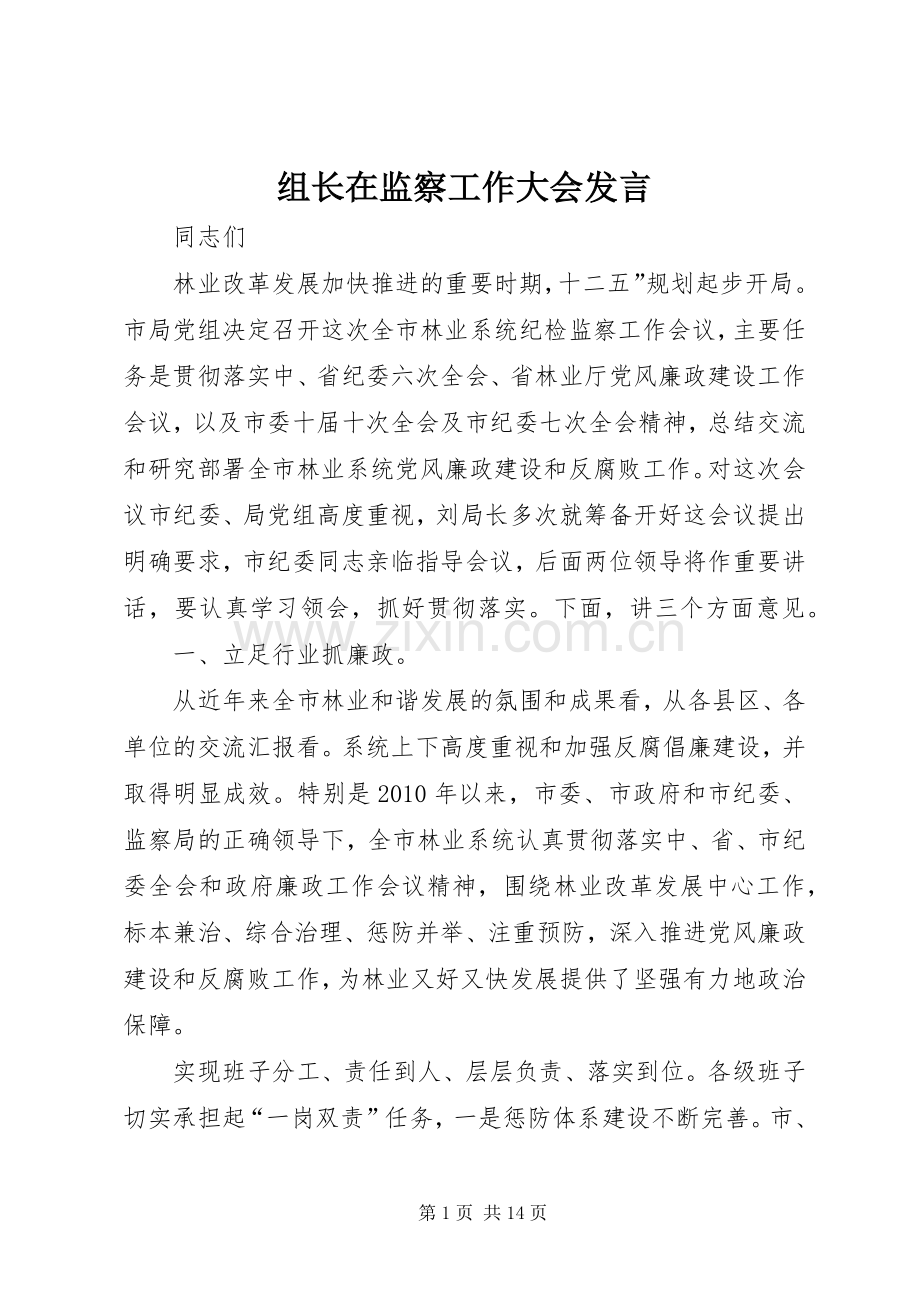 组长在监察工作大会发言.docx_第1页