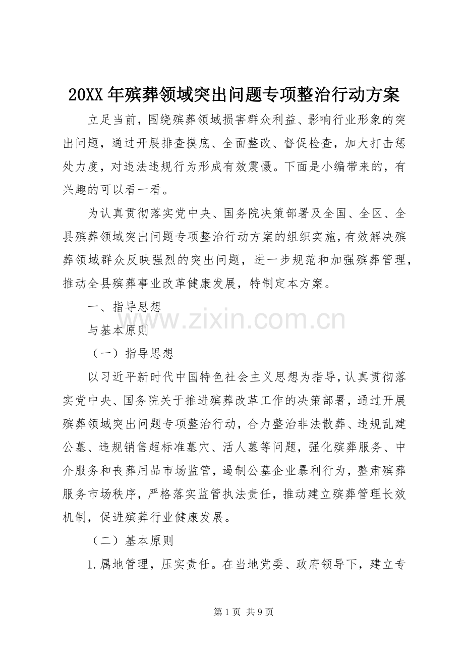 XX年殡葬领域突出问题专项整治行动实施方案.docx_第1页