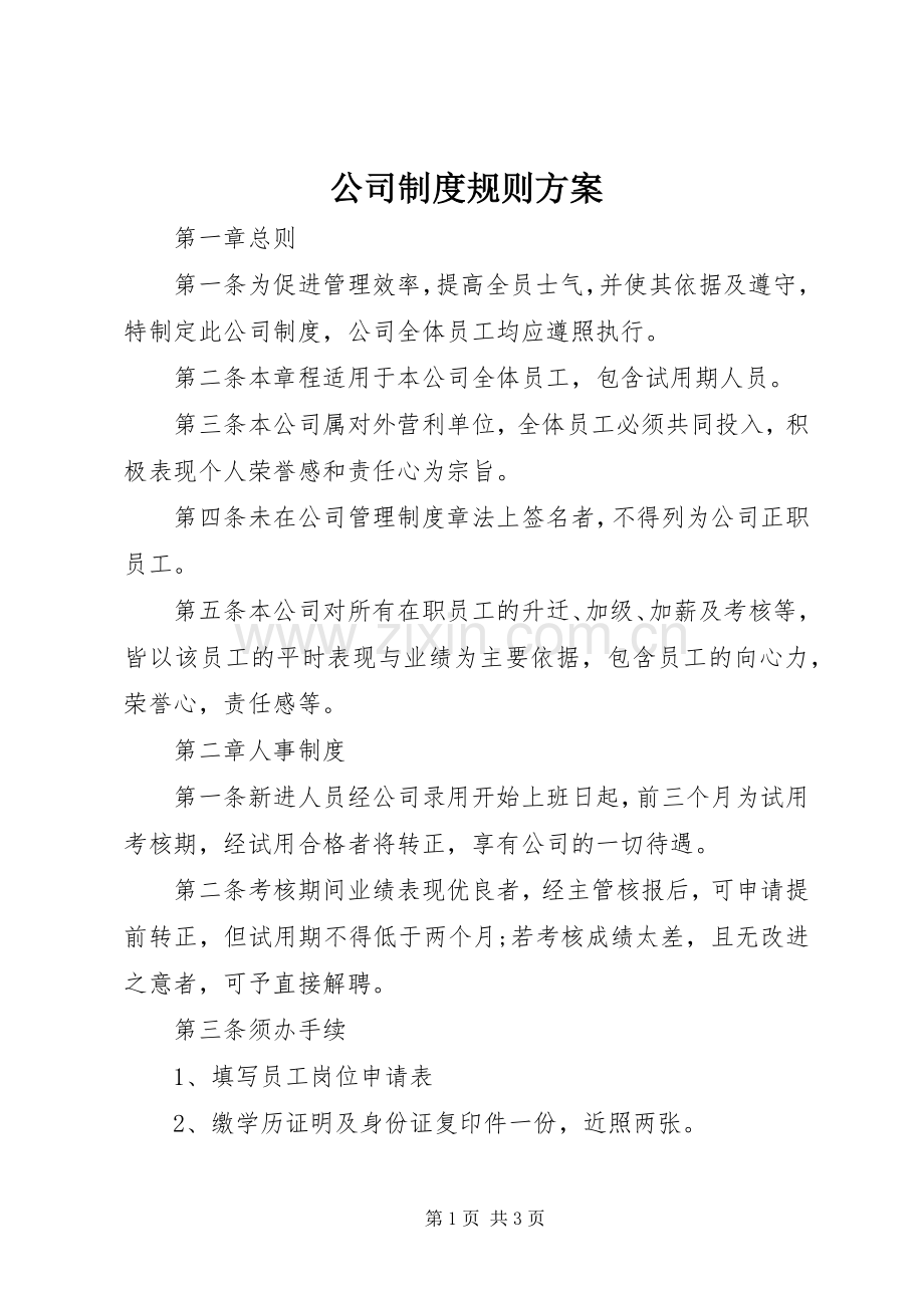 公司制度规则实施方案.docx_第1页