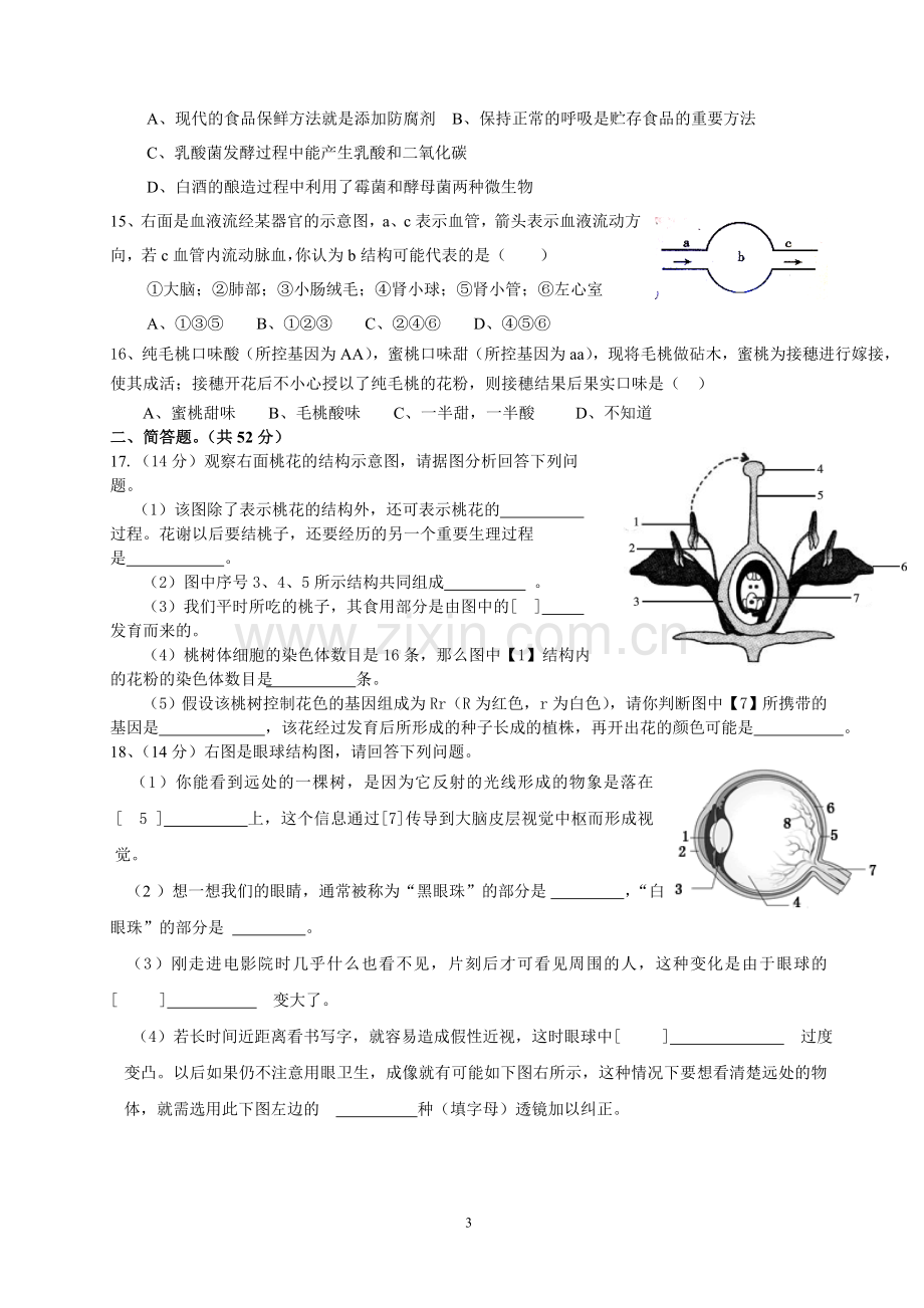 生物模拟考试.doc_第3页