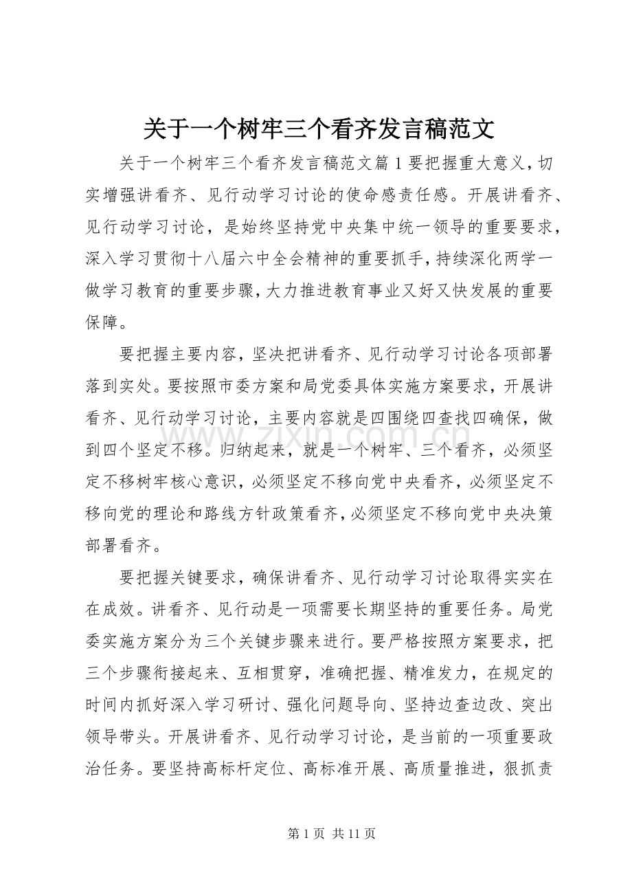 关于一个树牢三个看齐发言稿范文.docx_第1页