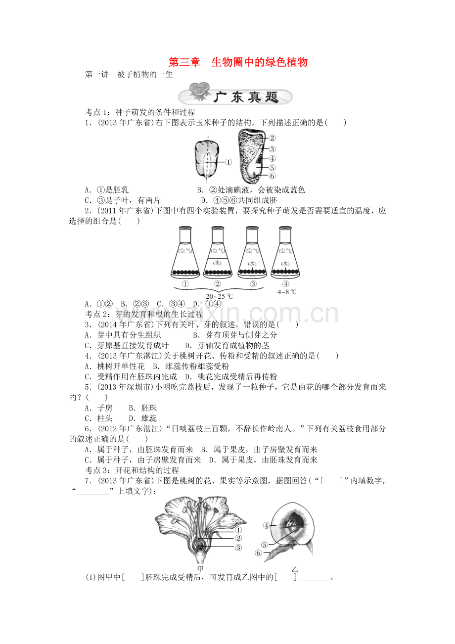 中考生物基础复习-第三章-生物圈中的绿色植物试题.doc_第1页