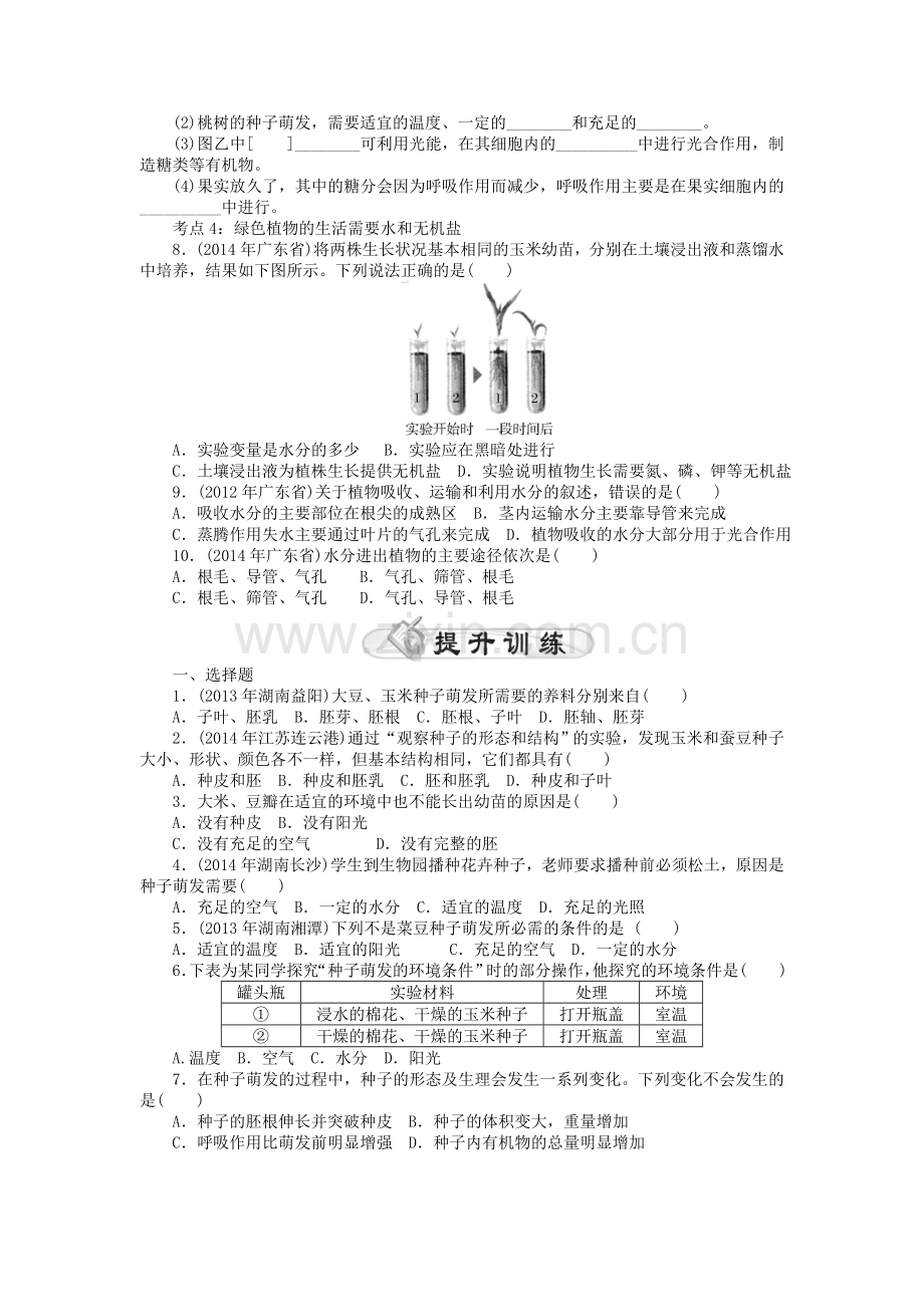 中考生物基础复习-第三章-生物圈中的绿色植物试题.doc_第2页