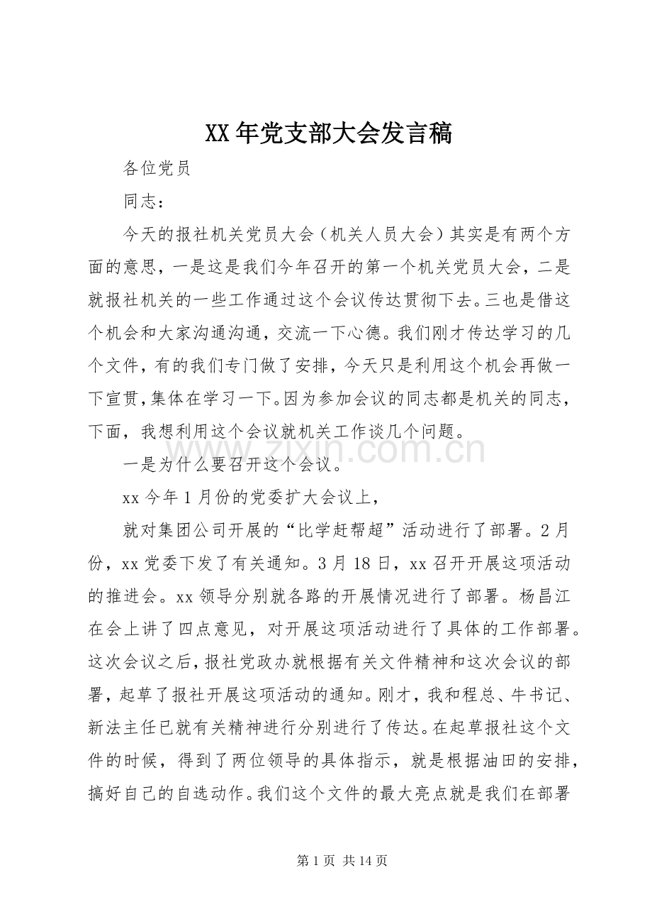 XX年党支部大会发言_1.docx_第1页