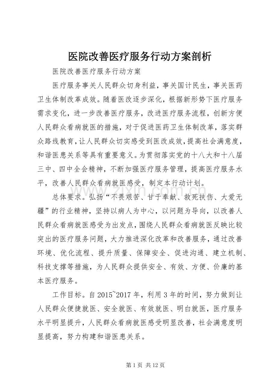 医院改善医疗服务行动实施方案剖析.docx_第1页