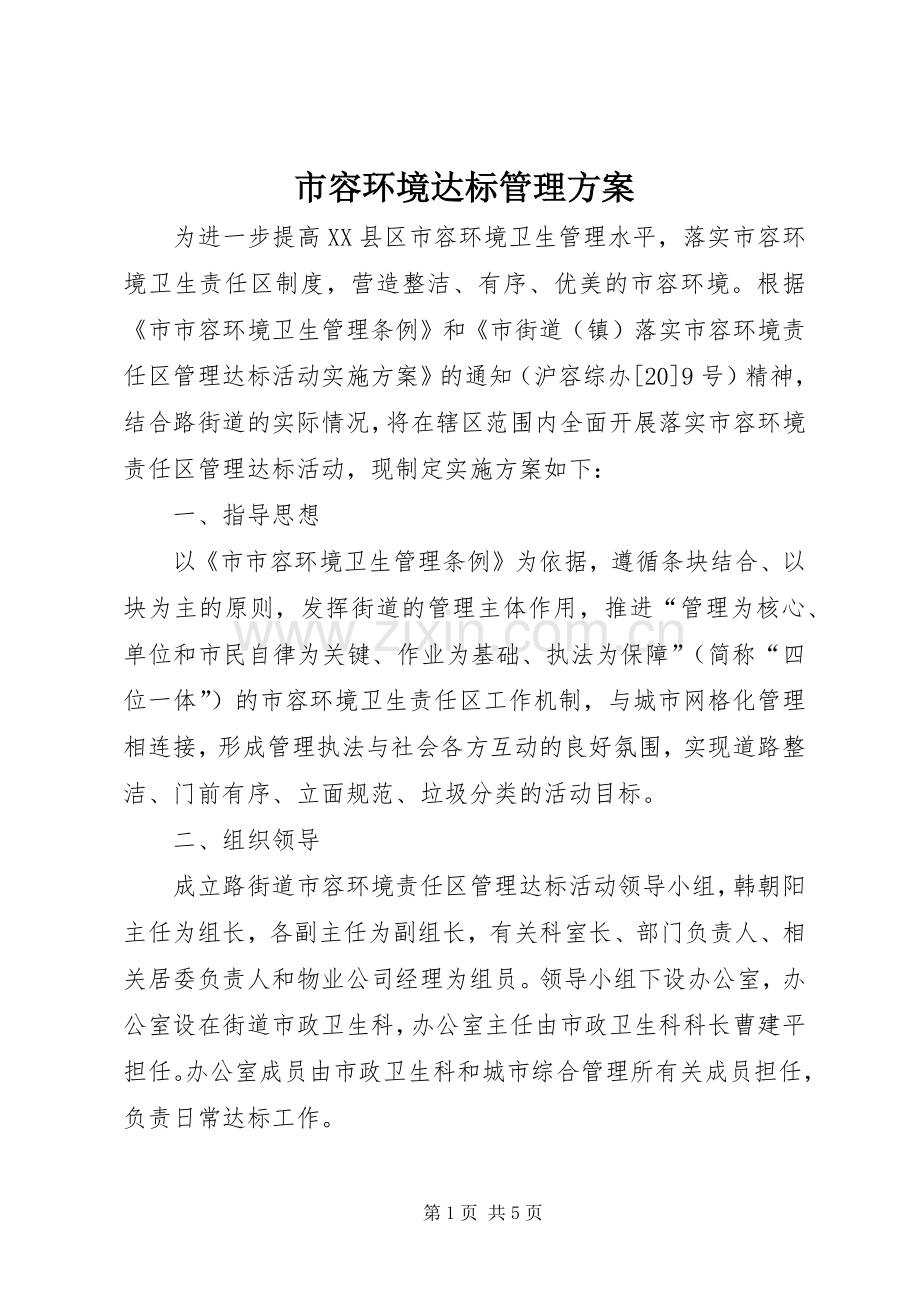 市容环境达标管理实施方案.docx_第1页