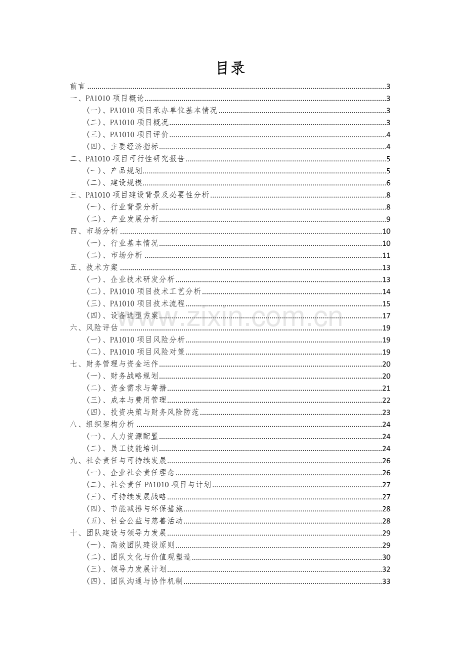 PA1010项目可行性研究报告.docx_第2页