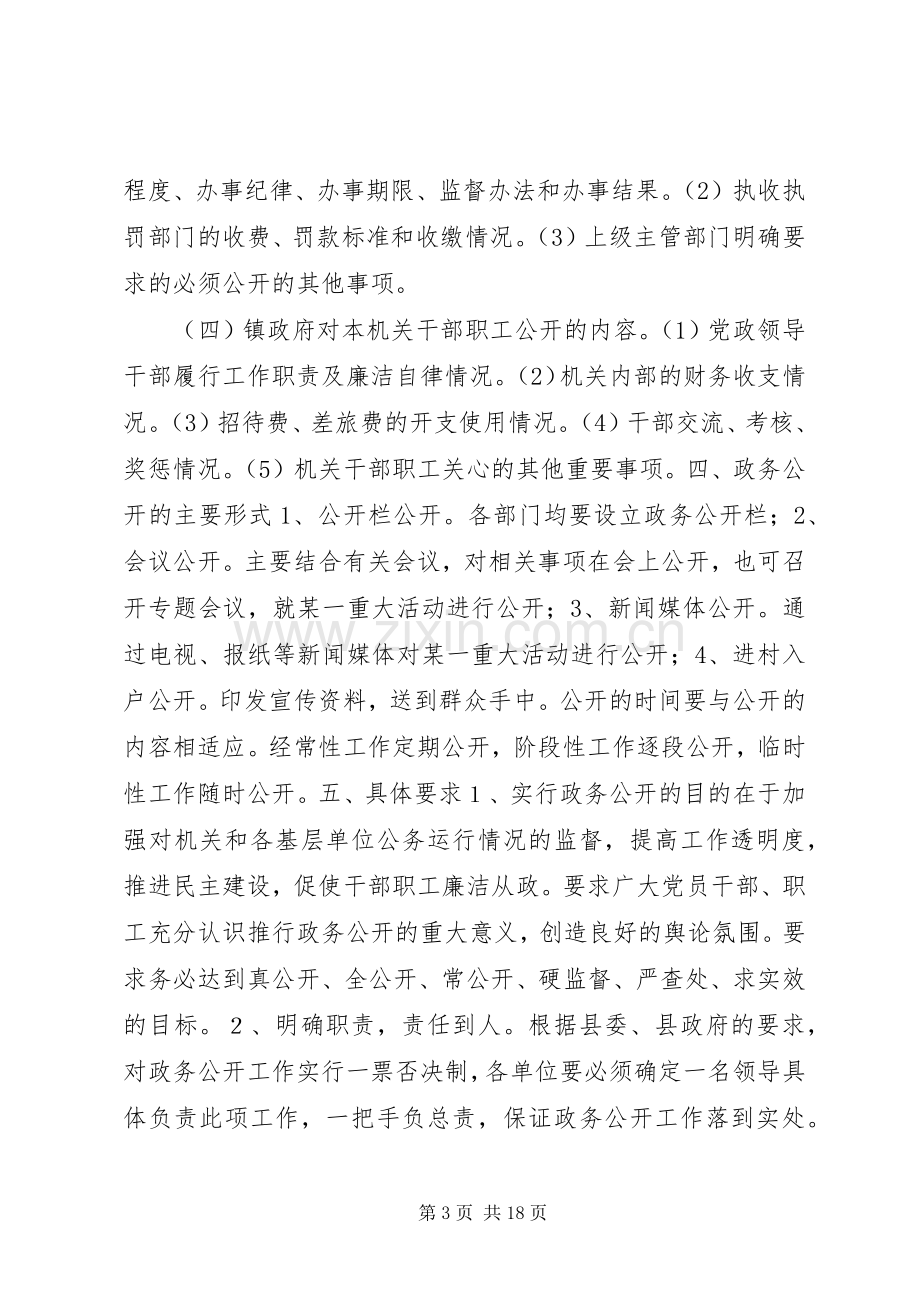 X政务公开方案.docx_第3页