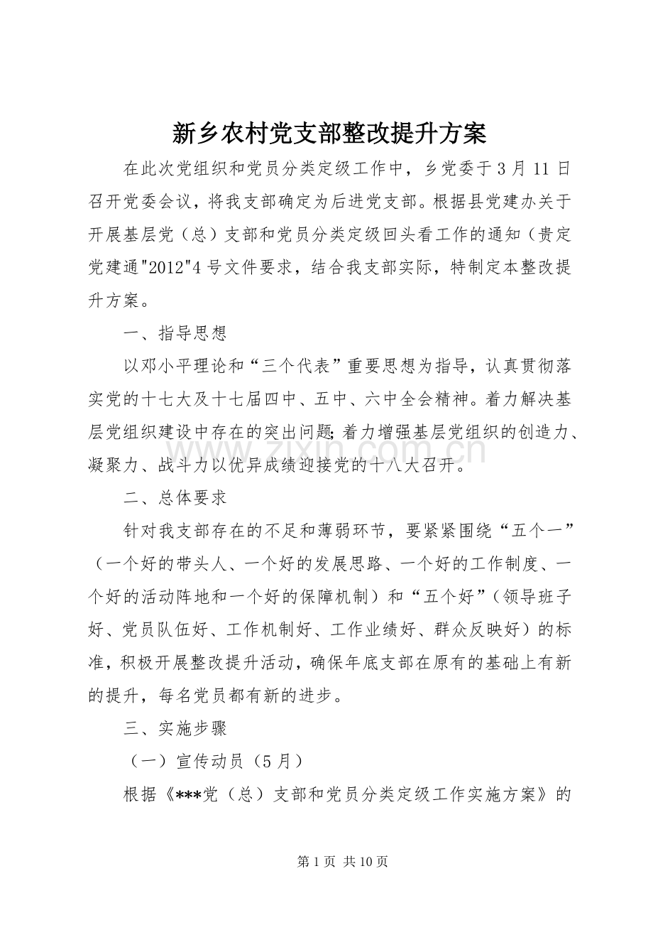 新乡农村党支部整改提升实施方案.docx_第1页