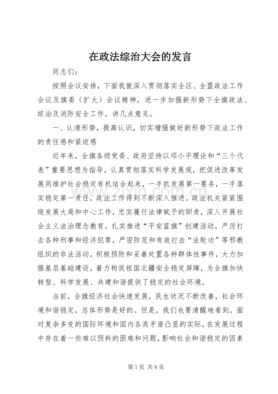 在政法综治大会的发言.docx_第1页