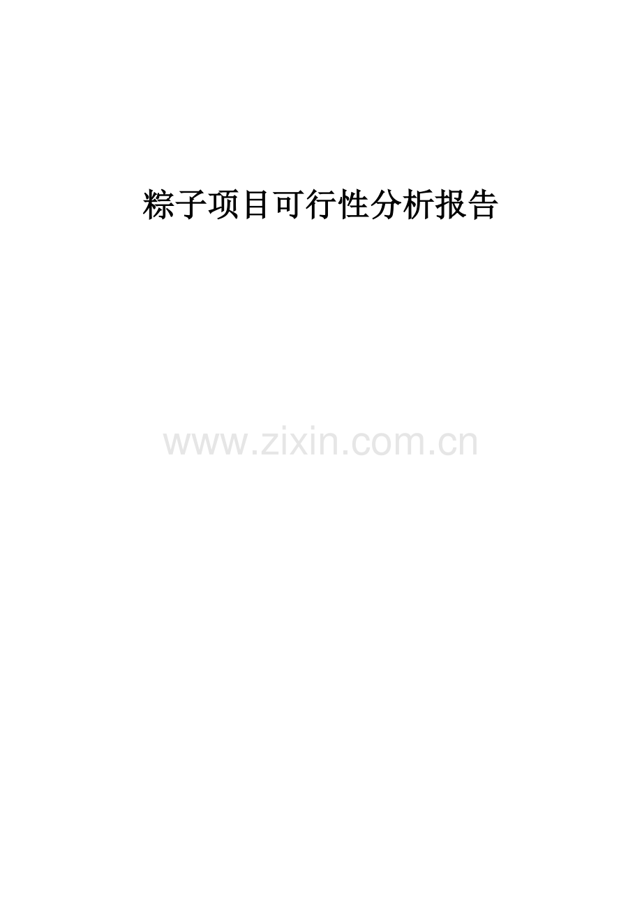 粽子项目可行性分析报告.docx_第1页