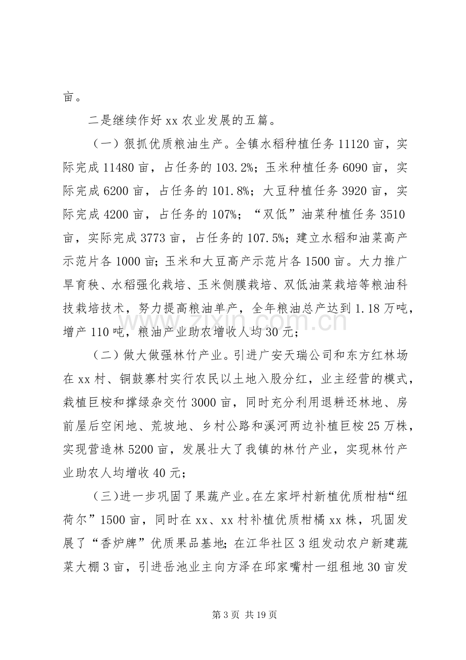 乡镇政府工作报告镇长发言.docx_第3页