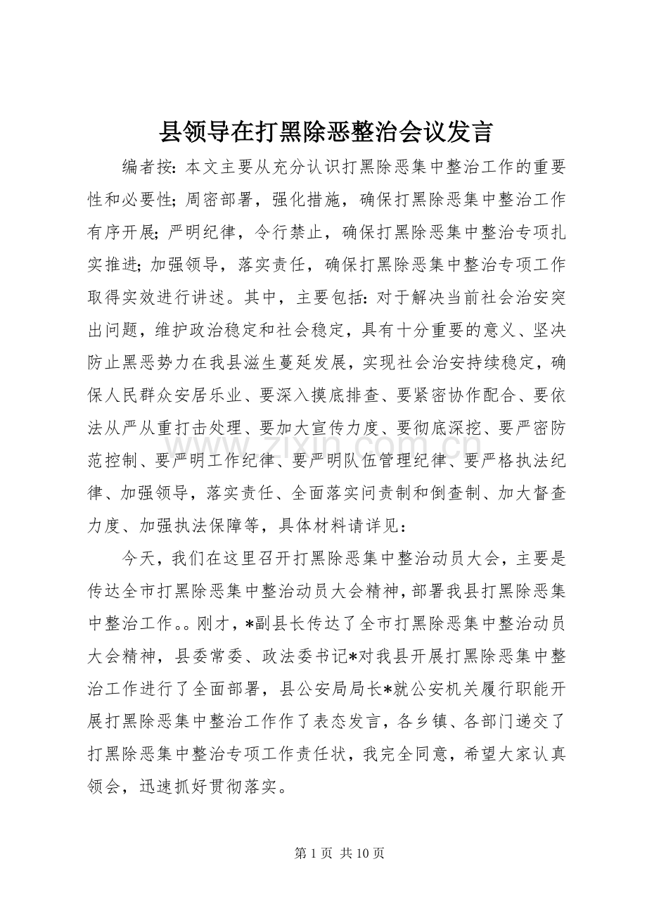 县领导在打黑除恶整治会议发言.docx_第1页