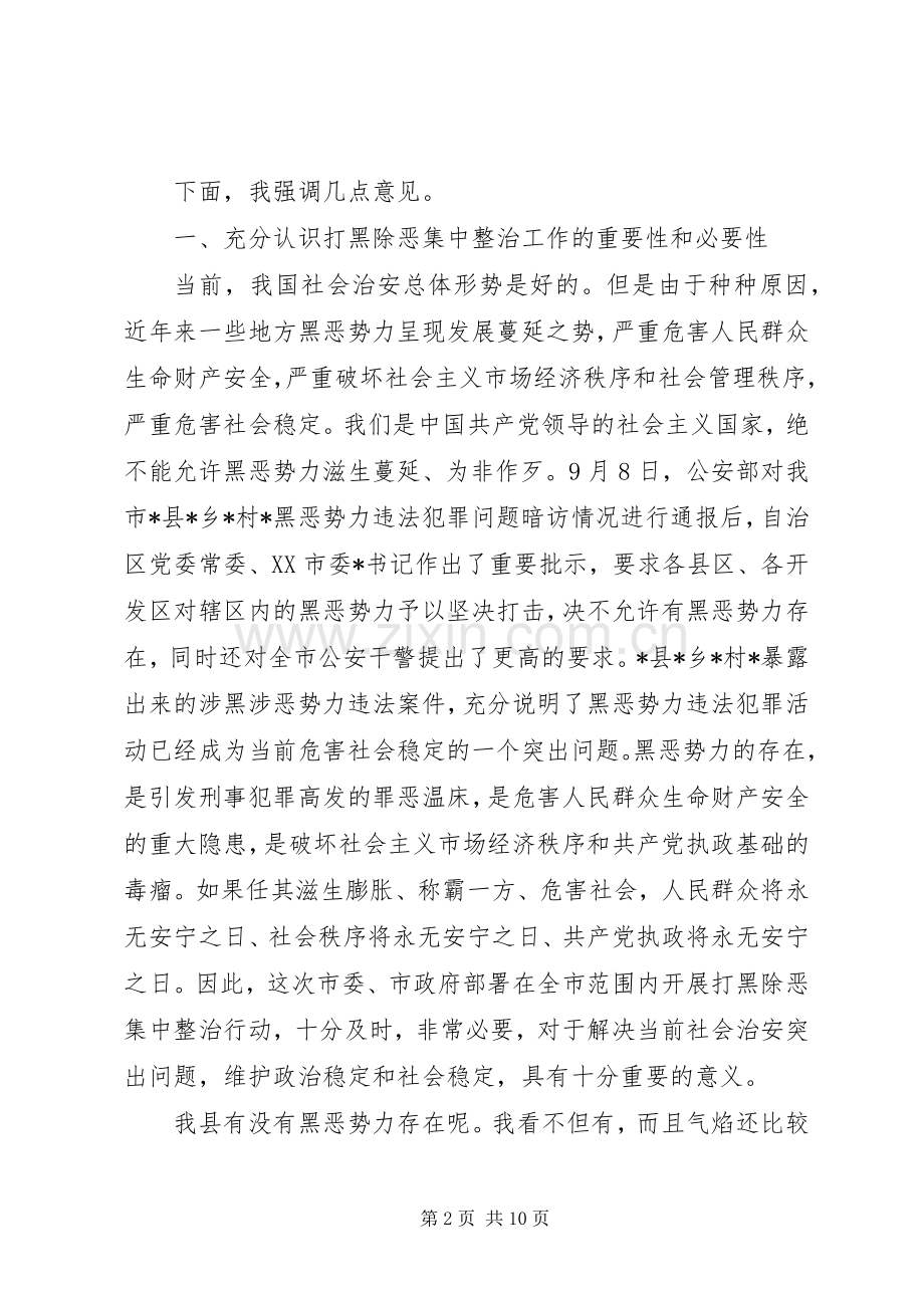 县领导在打黑除恶整治会议发言.docx_第2页