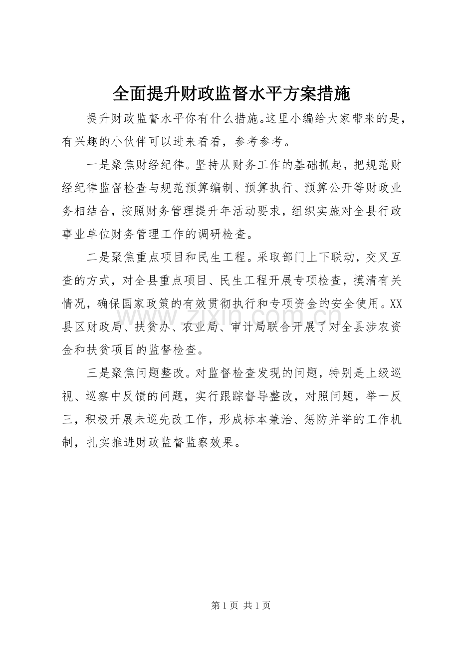 全面提升财政监督水平实施方案措施.docx_第1页