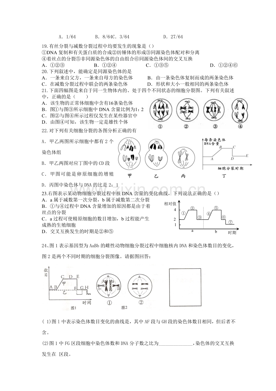 高一生物遗传规律练习题(含答案).doc_第3页