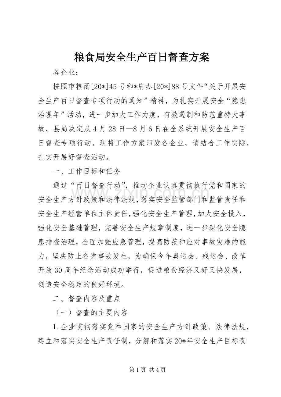 粮食局安全生产百日督查实施方案.docx_第1页