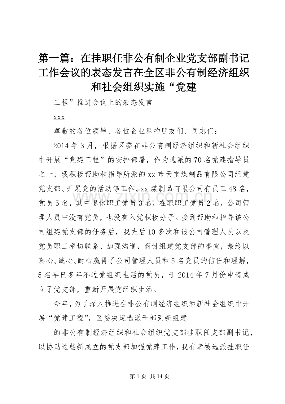 第一篇：在挂职任非公有制企业党支部副书记工作会议的表态发言在全区非公有制经济组织和社会组织实施“党建.docx_第1页