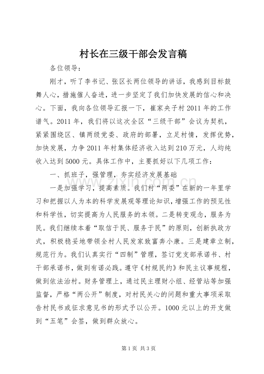 村长在三级干部会发言稿.docx_第1页