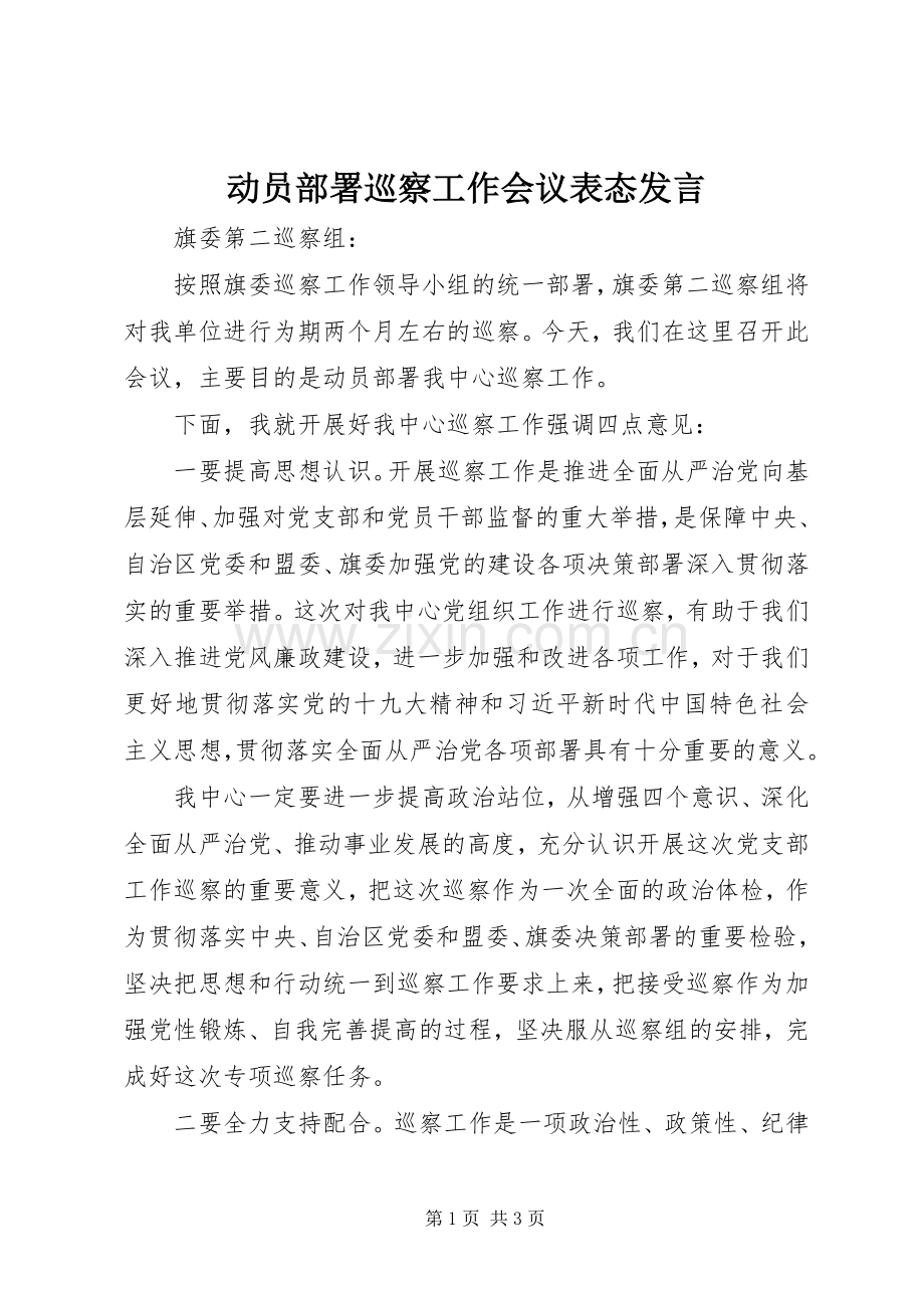 动员部署巡察工作会议表态发言稿.docx_第1页