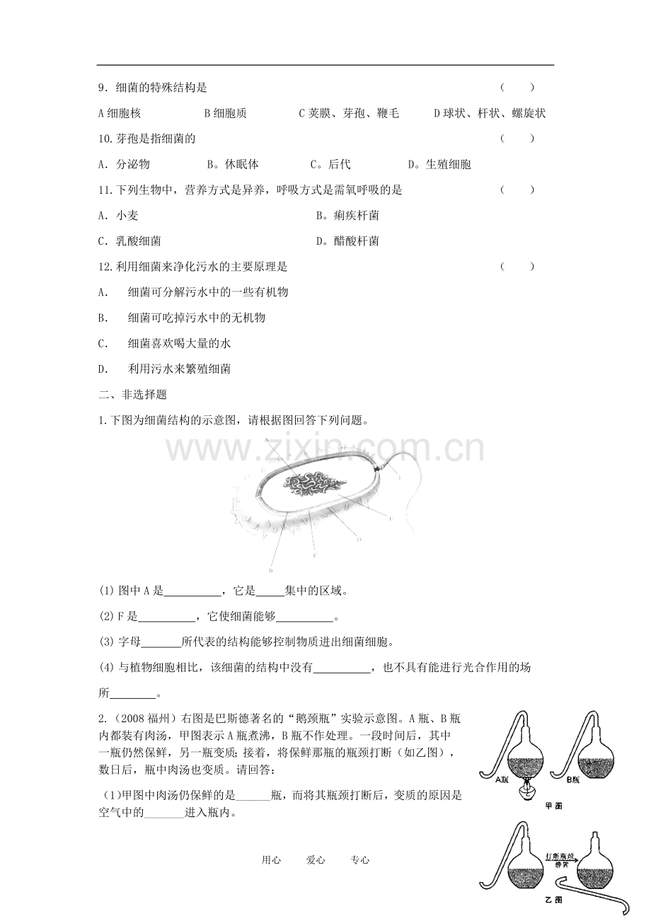 八年级生物上册《细菌》同步练习-人教新课标版.doc_第2页