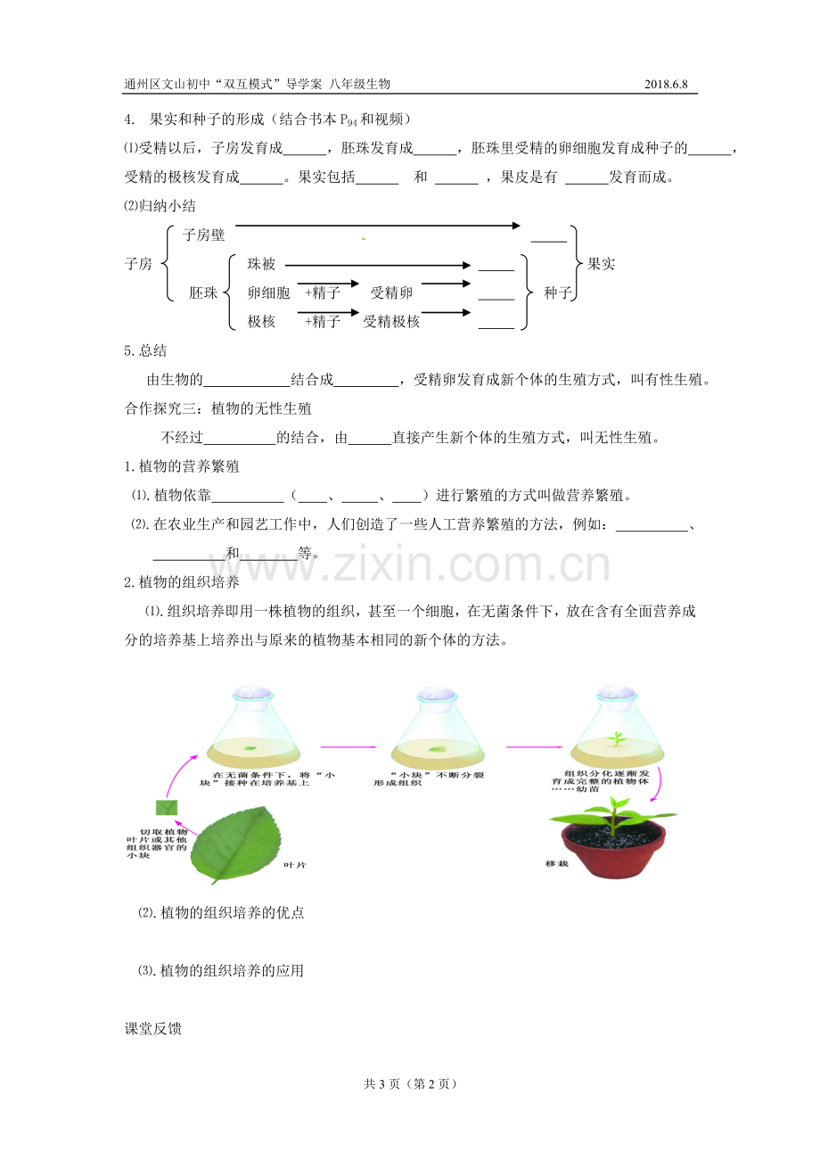 第1节植物的生殖-(2).doc_第2页