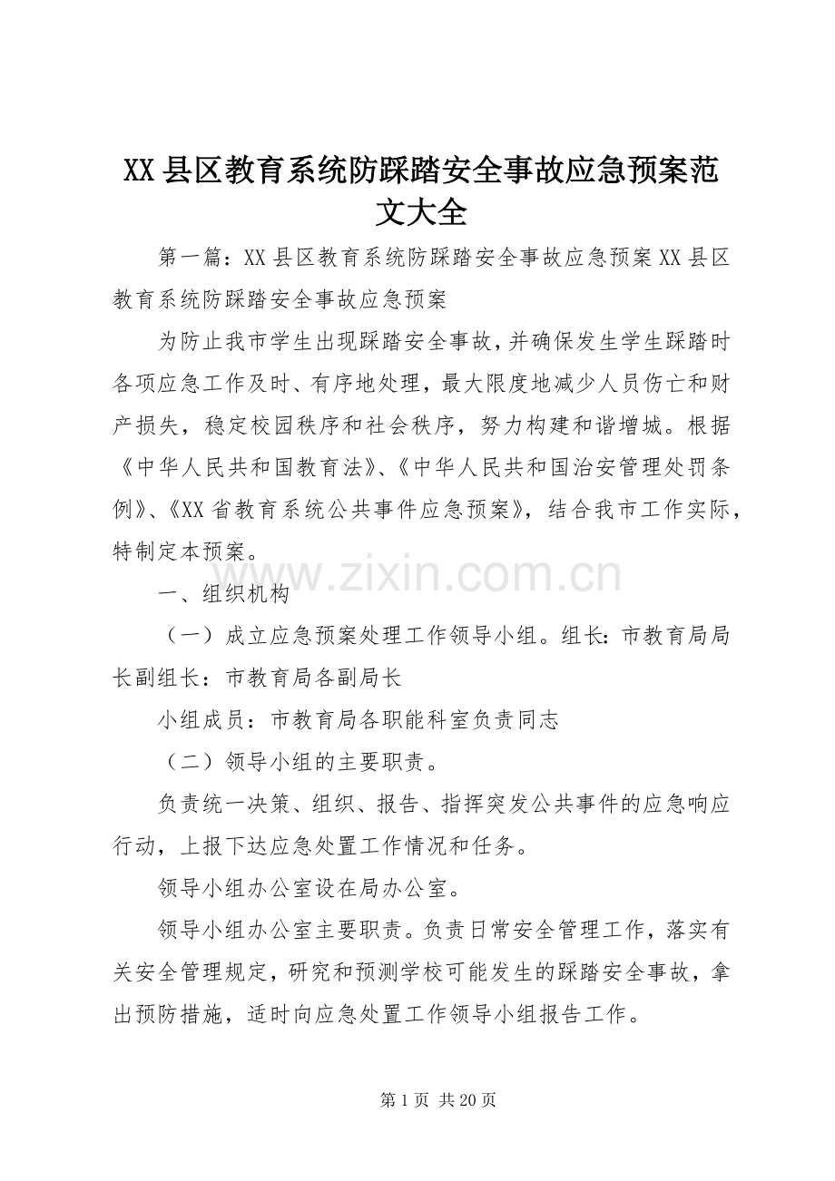 XX县区教育系统防踩踏安全事故应急处理预案范文大全.docx_第1页