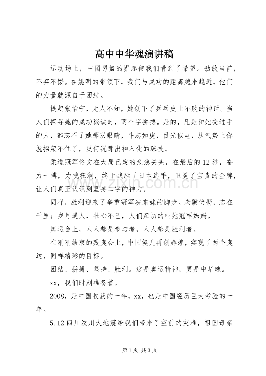 高中中华魂演讲稿.docx_第1页