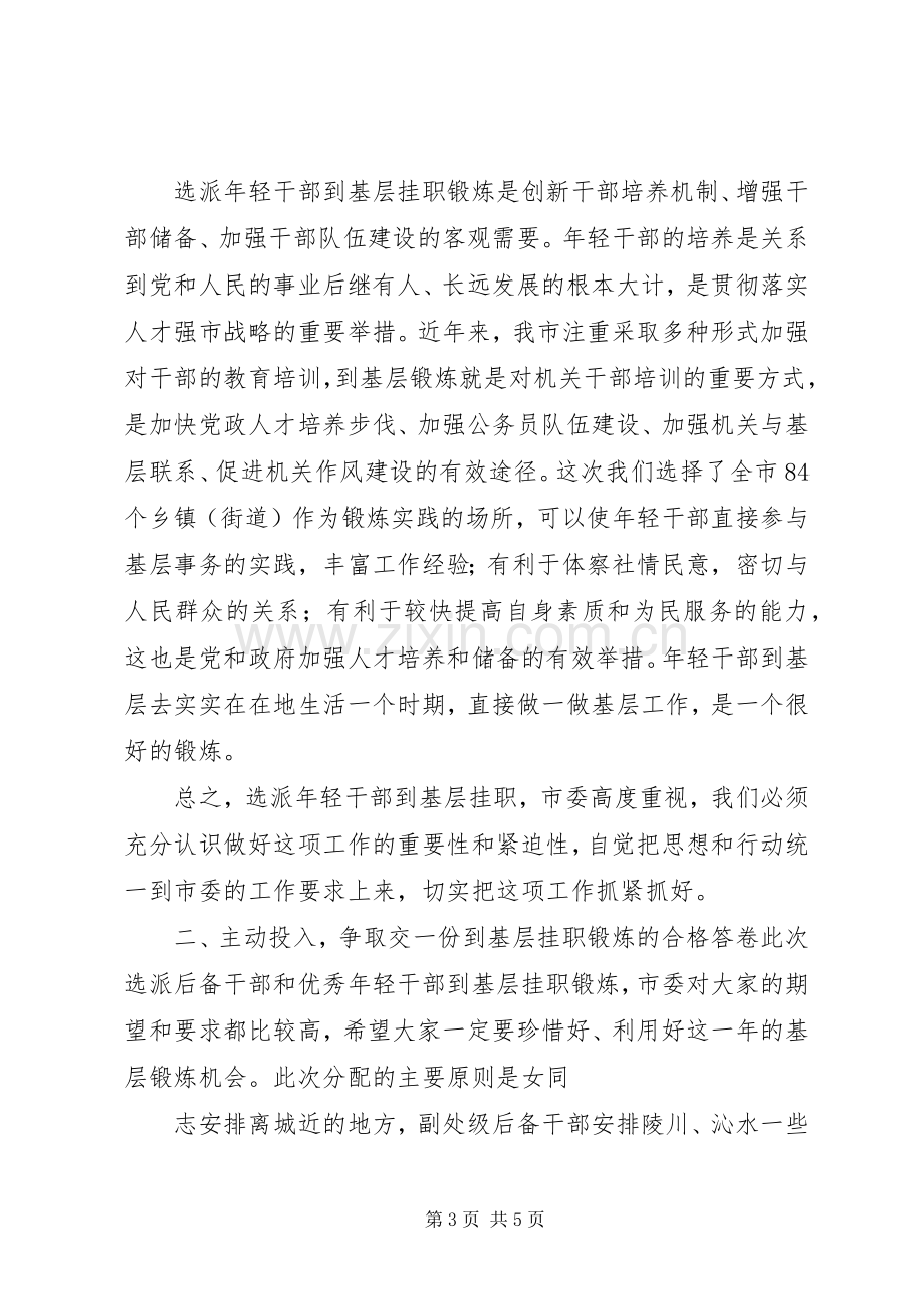 挂职动员会讲话.docx_第3页