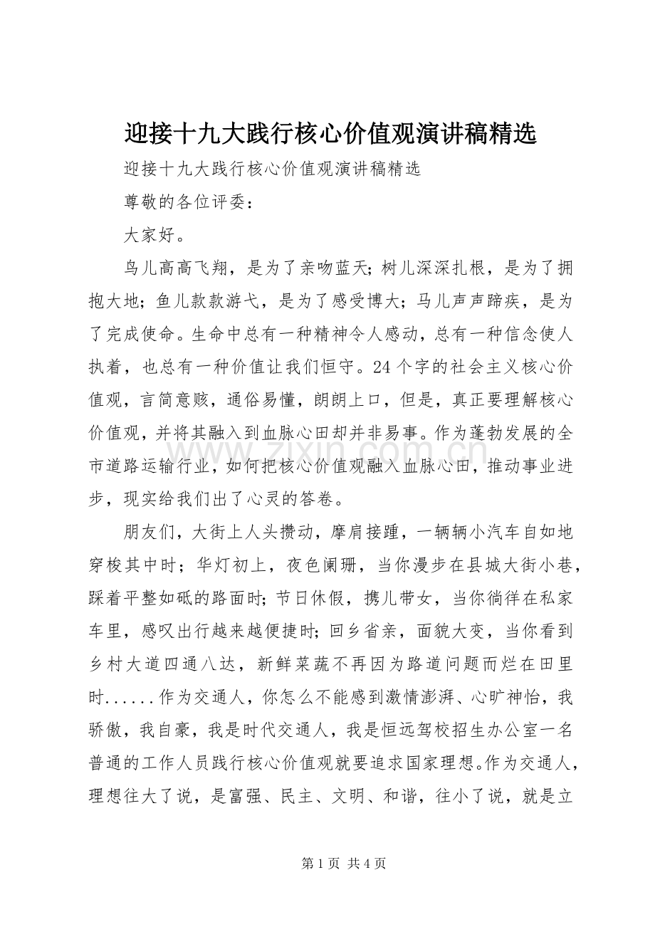 迎接十九大践行核心价值观演讲稿.docx_第1页