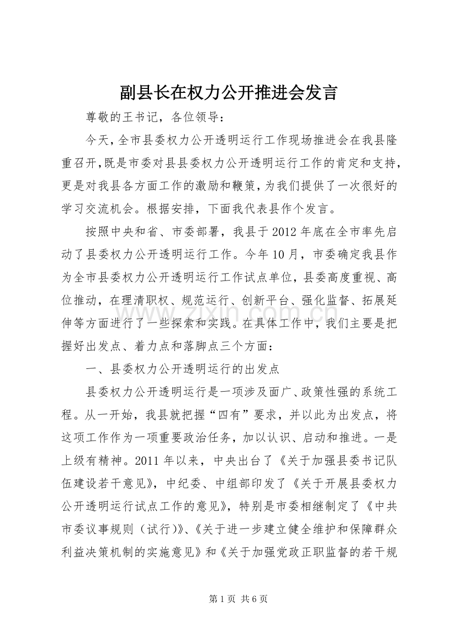 副县长在权力公开推进会发言.docx_第1页