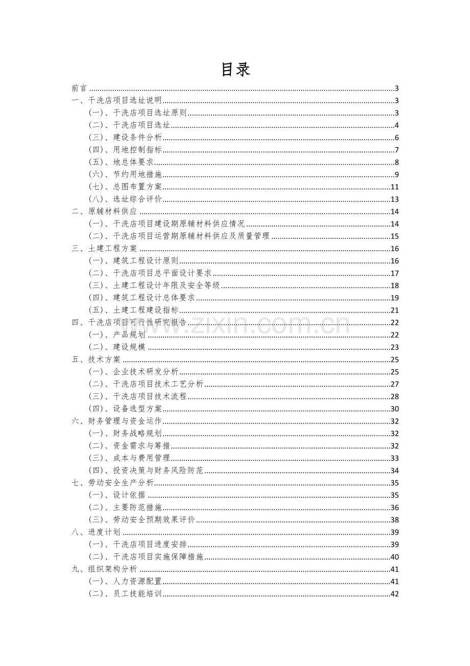 干洗店项目可行性研究报告.docx_第2页