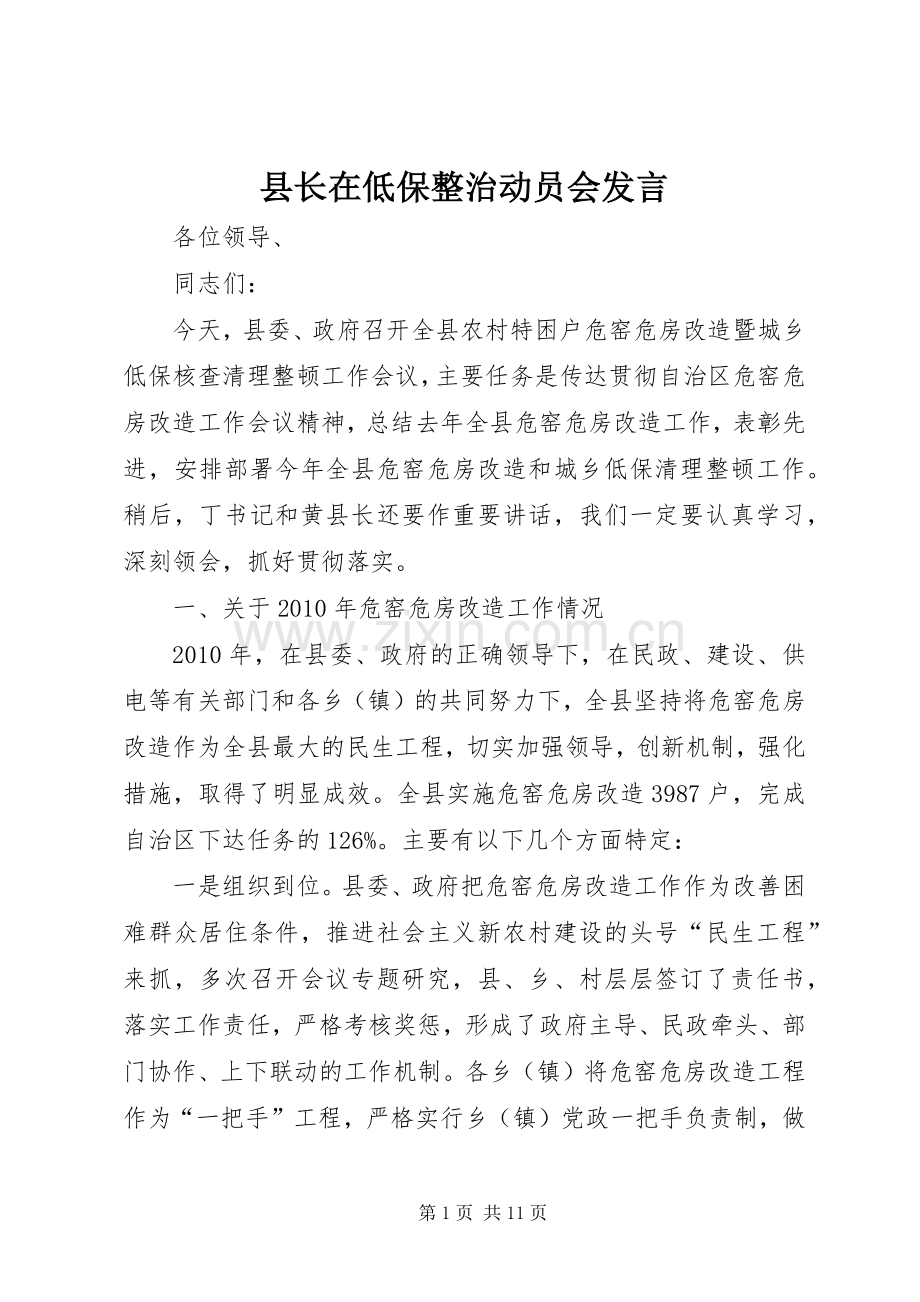 县长在低保整治动员会发言.docx_第1页