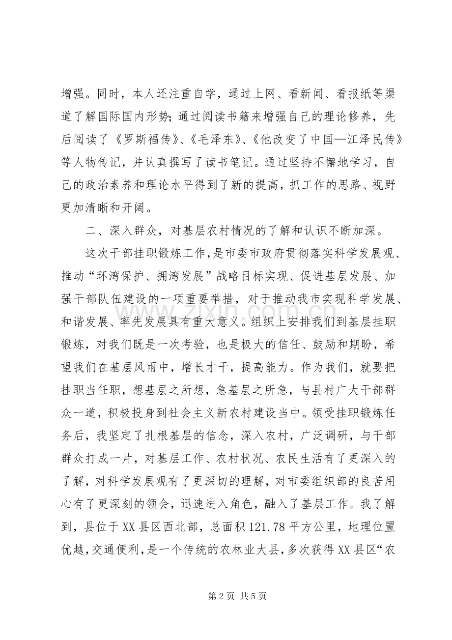 挂职干部座谈发言稿.docx_第2页