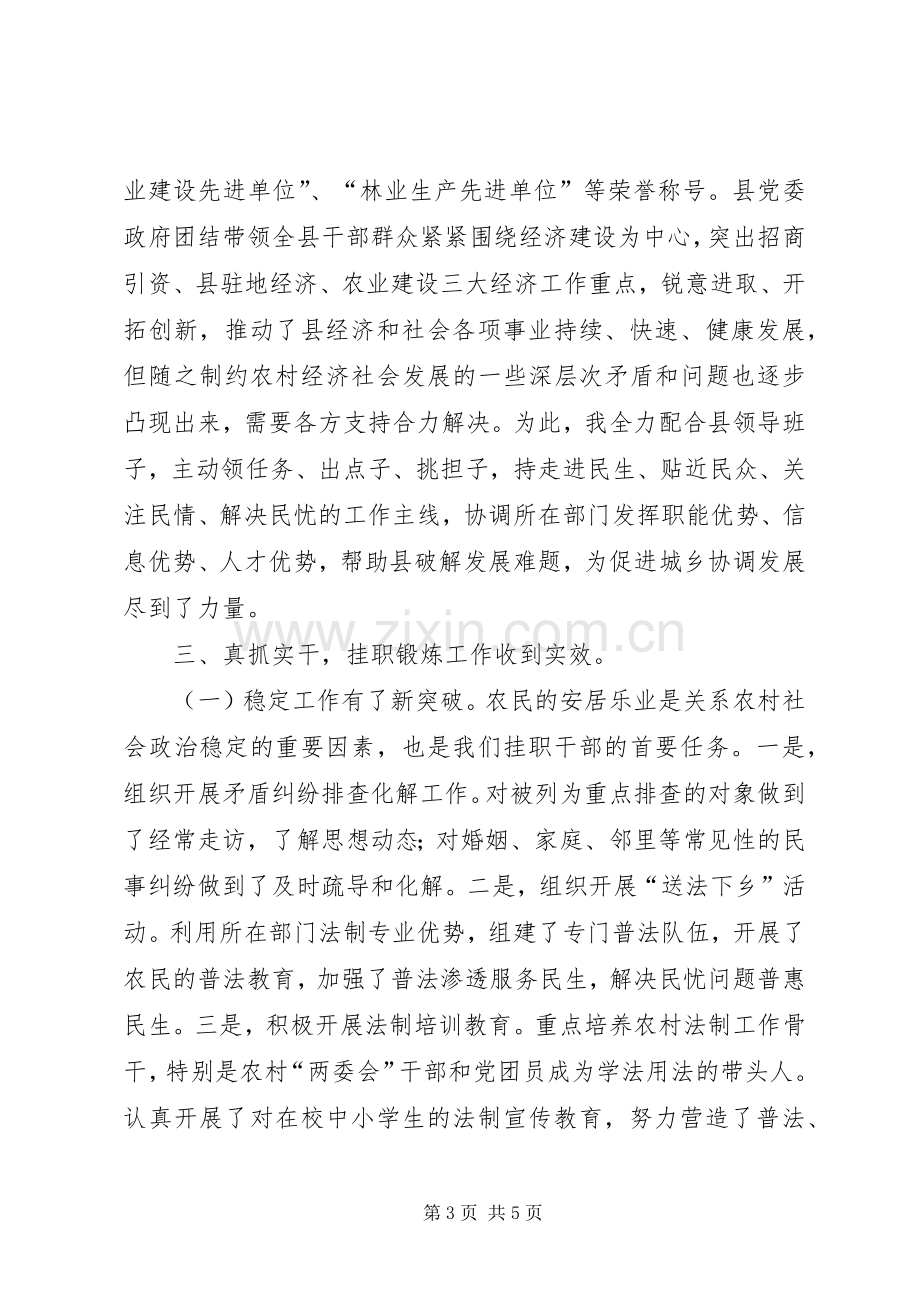 挂职干部座谈发言稿.docx_第3页