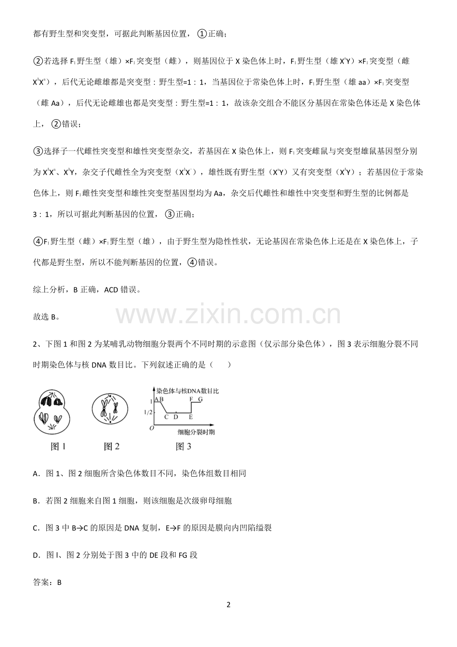 人教版高中生物必修二基因和染色体的关系知识总结例题.pdf_第2页