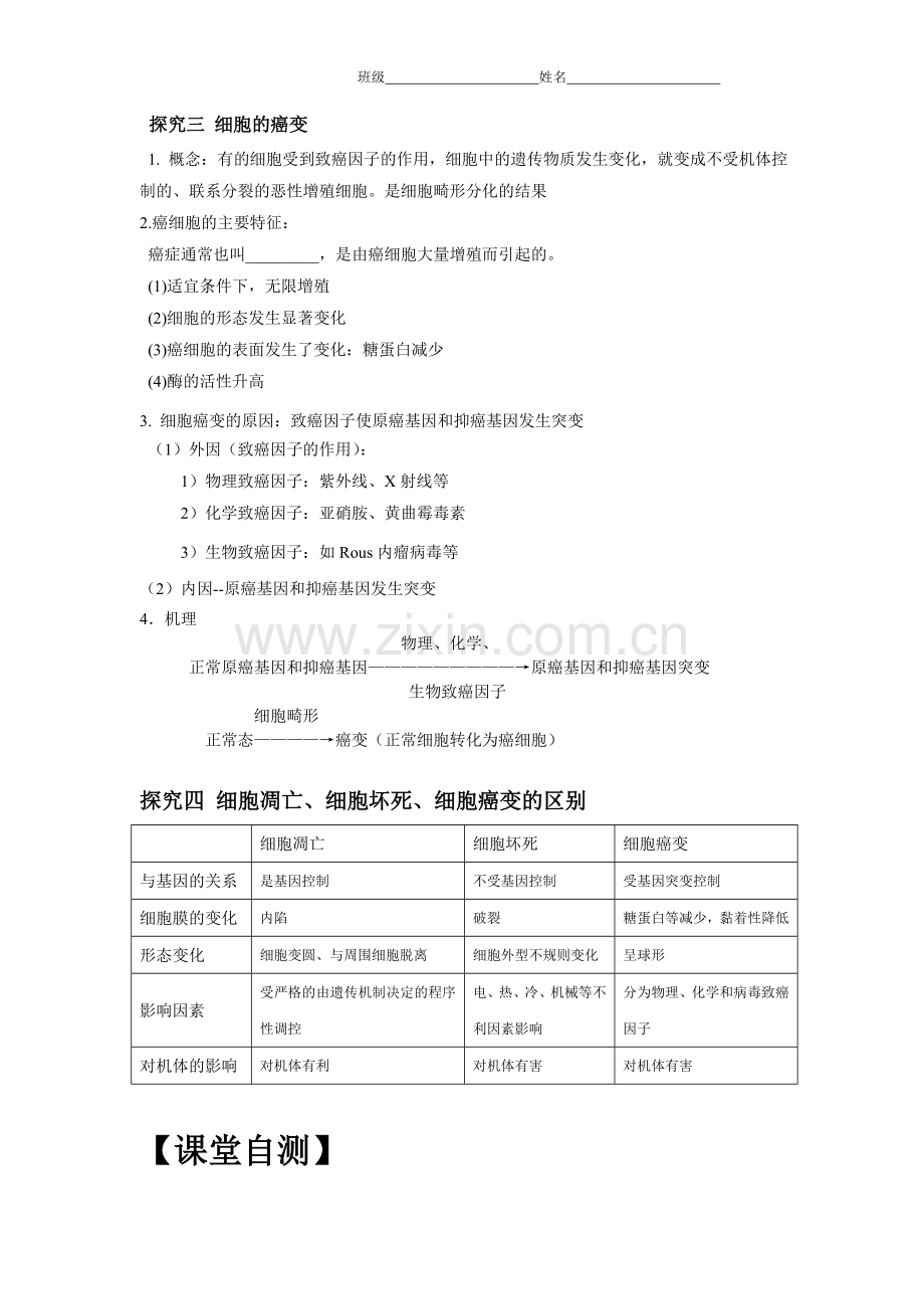 细胞衰老凋亡及癌变导学案.doc_第3页