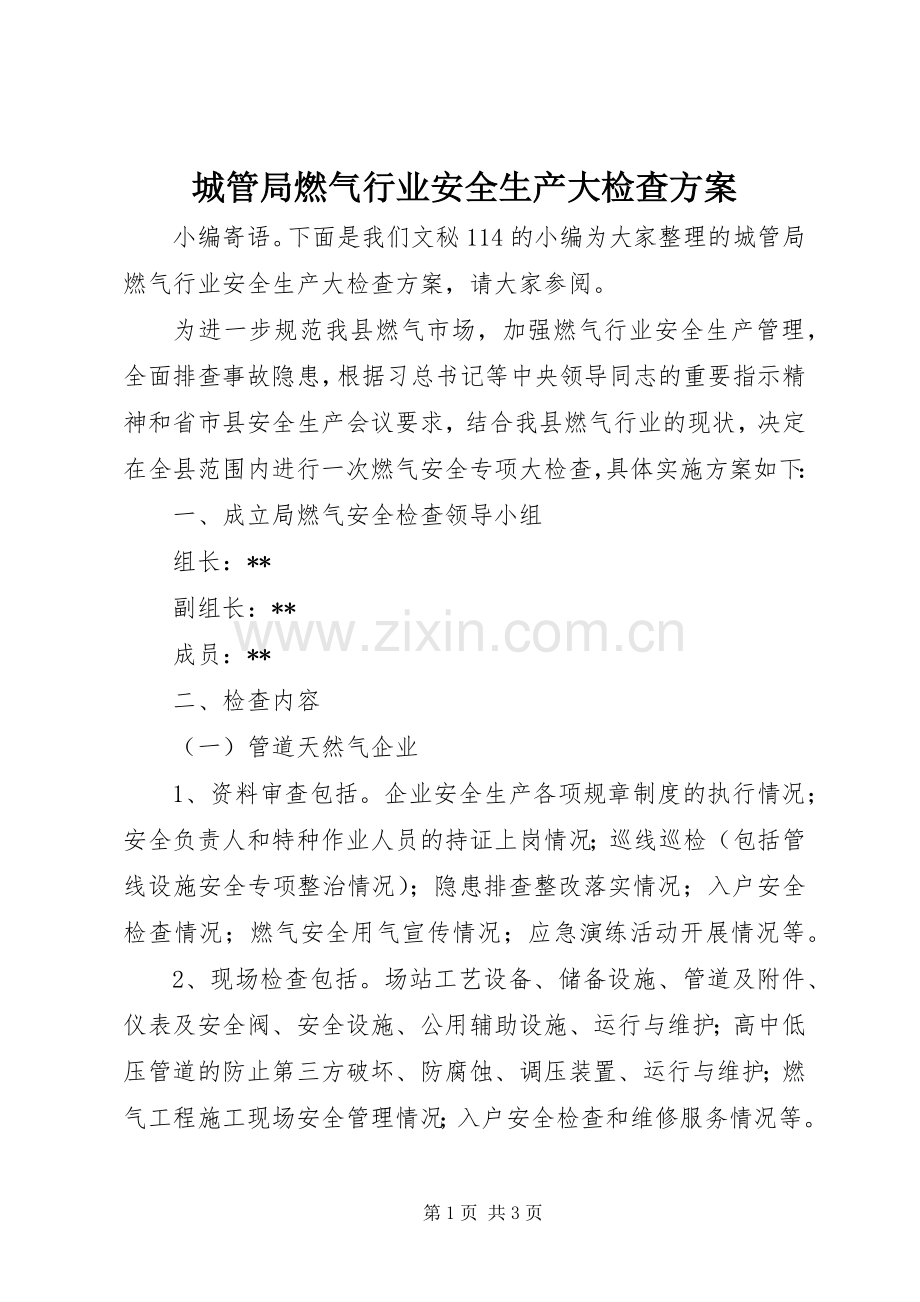 城管局燃气行业安全生产大检查实施方案.docx_第1页