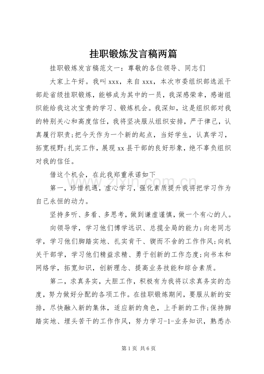 挂职锻炼发言稿两篇.docx_第1页